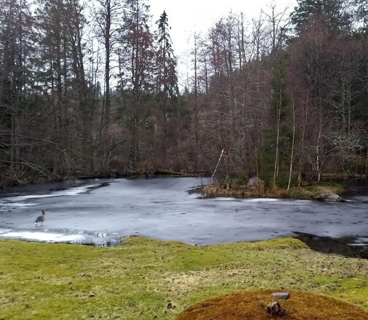 Gaeststuga I Vacker Natur, Bastu, Bubbelpool Sommartid Och Gratis Parkering Naera Ulricehamn Och Lassalyckan, Guesthouse With Nice View With Sauna And Free Parking Close To Dalsjoefors And Fishing Borås Kültér fotó